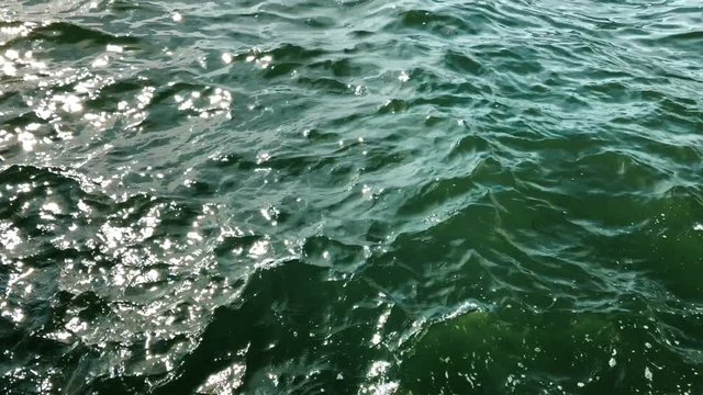 Green Water as background texture