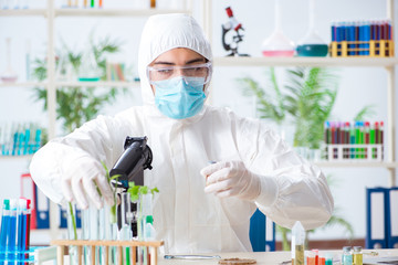 Male biochemist working in the lab on plants