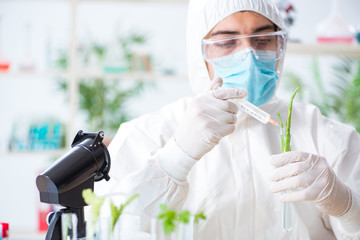 Male biochemist working in the lab on plants