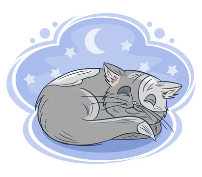 Little sleeping cat, hand drawn design