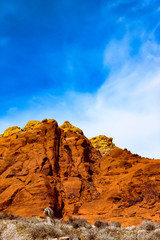 Fototapeta premium Red Rocks