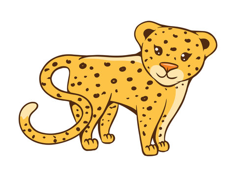 Cute little cheetah