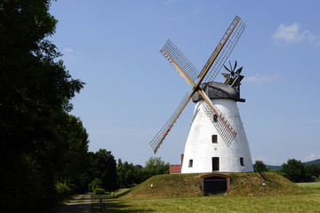 Wallholl&auml;nderm&uuml;hle Veltheim