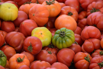 three kinds of Tomato