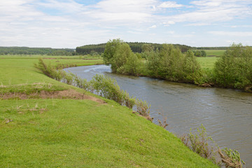 summer rural landscape with a river, forests, hills and meadow with cattle