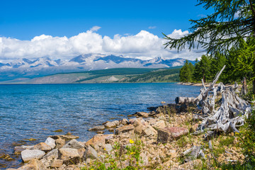 Obraz premium Wild nature of Mongolia. A beautiful view of Lake Hovsgol and the Eastern Sayan Ridge on a sunny summer day