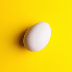 white egg on a yellow background