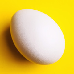 white egg on a yellow background