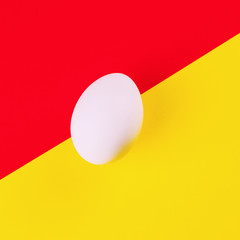 white egg on a color background