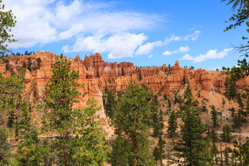 Fototapeta na wymiar Panorama from Bryce Canyon National Park, USA