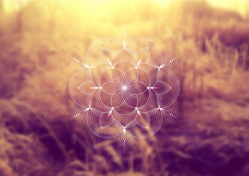 Vector template of banner, horizontal format; Spiritual sacred geometry; "Flower of life" and lotus on psychedelic natural forest photographic background; Yoga, meditation and relax.