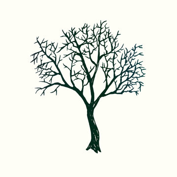 Tree silhouette, hand drawn doodle, sketch in pop art style, black and white vector illustration