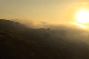 Mountains and Foggy Sunlight