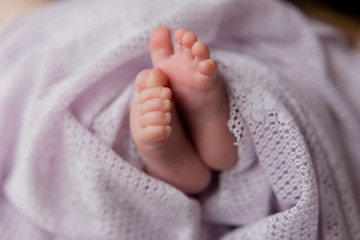 legs of a newborn baby. baby's feet. baby feet on purple background