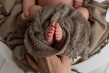 legs of a newborn baby. baby's feet. baby feet on khaki background