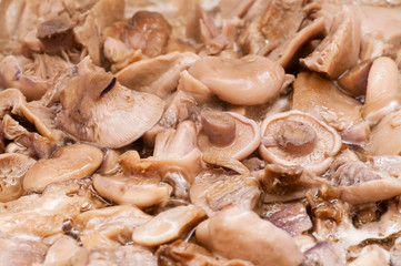 Close up of an assortment of mushrooms