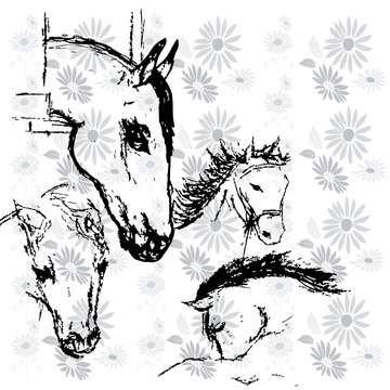 horses background