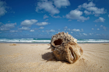 Island Boa Vista in Cape Verde, landscape - seaside