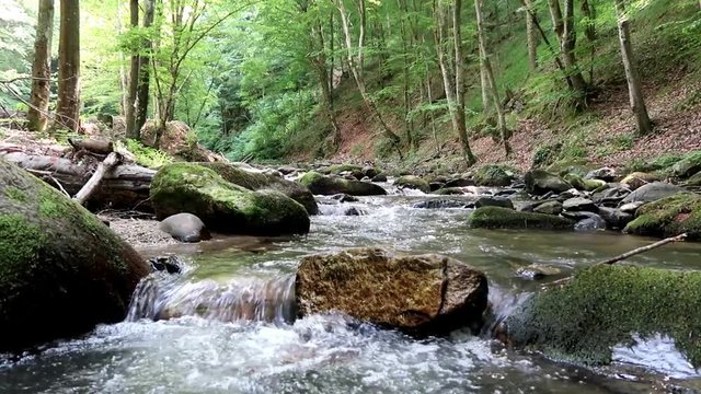 Mountain stream