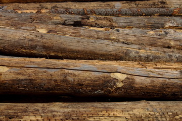 logs