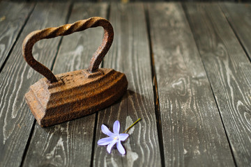 old cast iron rusty iron on a wooden background with a flower