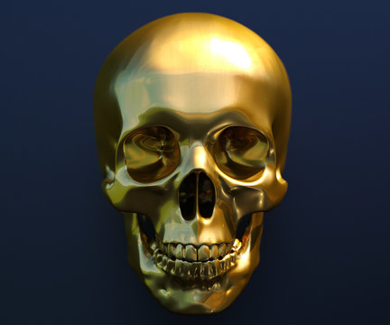 Human Skull Art Image