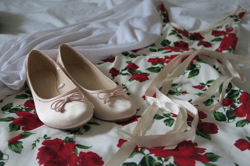 Obraz na płótnie Canvas Ballerina Shoes and Dress