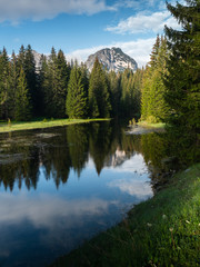 Stream flowing through forest with mountains in the background Durmitor area Montenegro