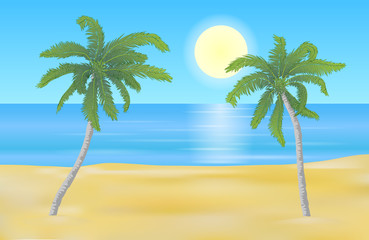 Vector summer beach landscape with yellow shaded sand and detailed palm trees.