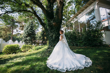 The girl put on a chic long wedding dress and embroidered veil. The model poses against the backdrop of a tall oak tree, admiring its attire.