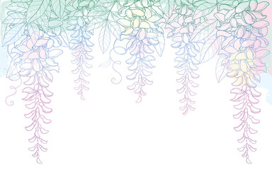 Vector arch or tunnel of outline Wisteria or Wistaria flower bunch, bud and leaf in pastel pink on the white background. Blossom climbing plant Wisteria in contour for spring design.