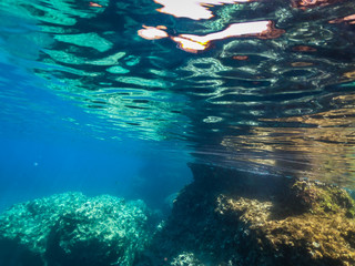 My Under Water World