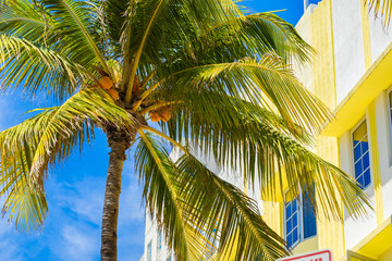 Miami Beach cityscape