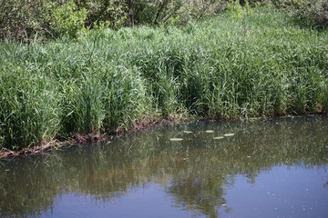 Countryside Afternoon Walk