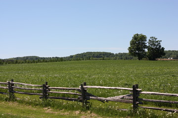 Countryside Afternoon Walk