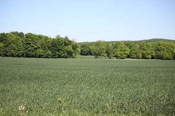 Countryside Afternoon Walk