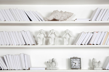 Fototapeta na wymiar the White wooden bookcase with books, seashells and statuettes of monkeys. All white
