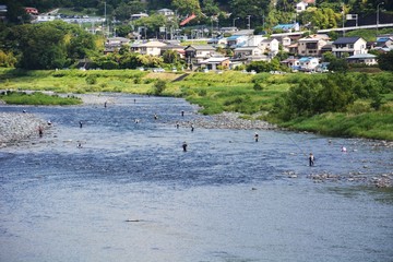 Sweetfish(Ayu) fishing in the river