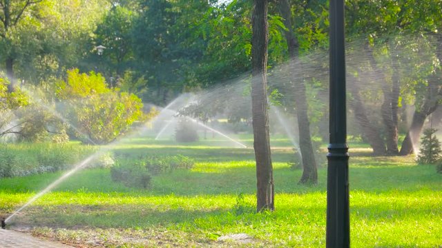 Water sprinkle system in the park lawn. Automatic irrigation system for pouring grass.