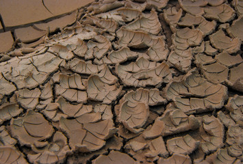 Withered convex mud texture