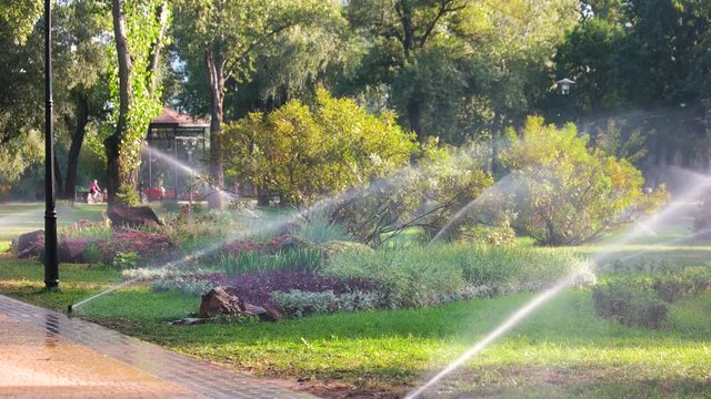 Pouring grass and flowers by irrigation water system. Greens in the park.
