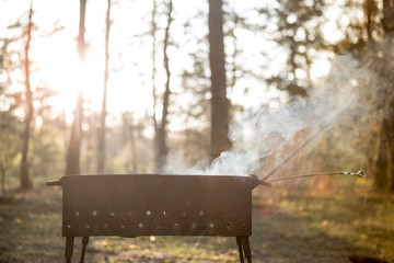 Barbecue in the forest. Barbecue at sunset