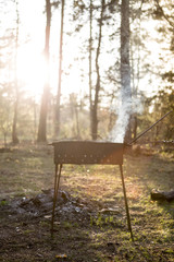 Naklejka premium Barbecue in the forest. Barbecue at sunset