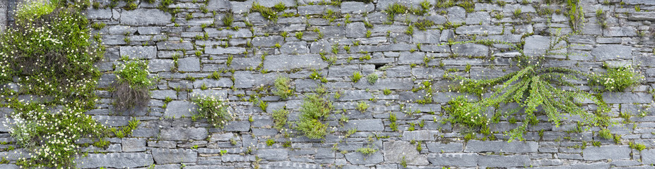 Schön bewachsene Natursteinmauer