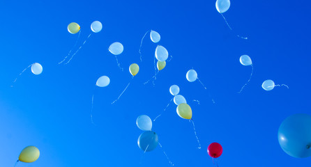 balloons in the sky
