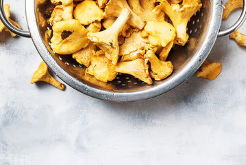 Forest mushrooms chanterelle in a steel colander, gray background, top view