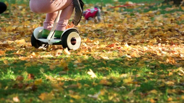 Little kid riding gyroscooter on the grass. Fallen oak leaves.