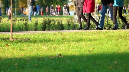 People are walking in the park in holidays. Crowd of people in the summer park.
