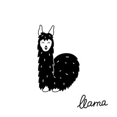 Vector illustration of cute llama