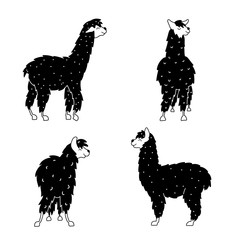 Vector set of llama, plant, flower